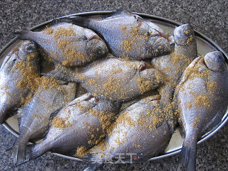 Fried Small Sea Fish with Fennel recipe