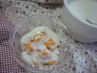 Homemade Mango Yogurt recipe