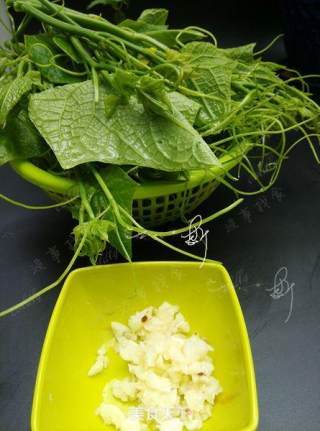 Chayote Seedlings in Garlic Oil recipe