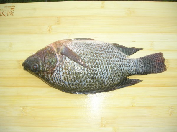 Grilled Flat Fish recipe