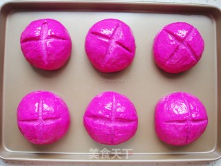 Dragon Fruit Soft European Buns recipe