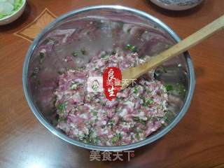 Xiao Long Bao Meat Stuffing Method recipe