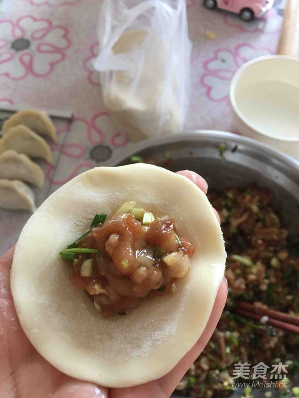 Dumplings ~ Soup Dumplings recipe