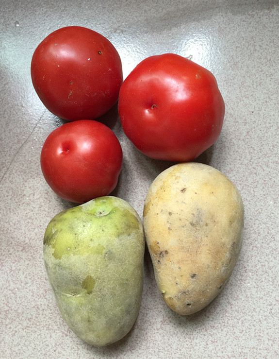 Potato and Tomato Soup recipe