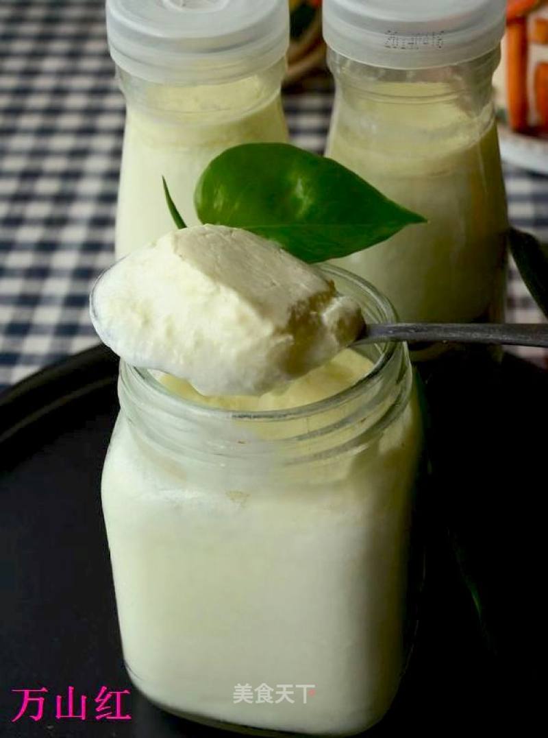 Sunny Yogurt recipe