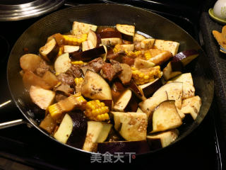 #trust之美# Ribs Stewed Randomly recipe