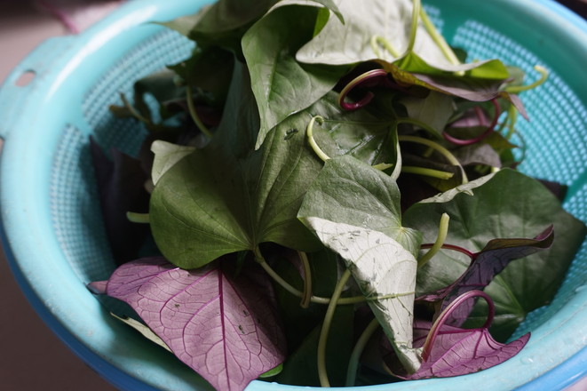 Stir-fried Potato Vine with Garlic recipe