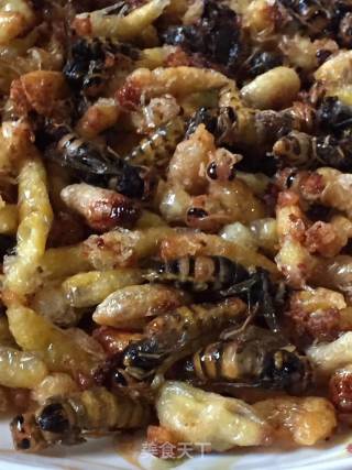 Crispy and Delicious Drooling Fried Bee Pupae recipe