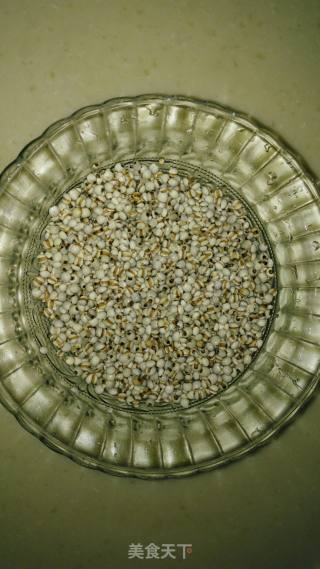 Barley Tea recipe