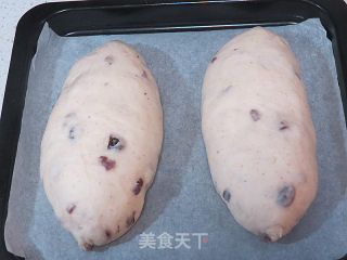 Rich and Rich Taste~【whole Wheat Cranberry Cheese Soft European】 recipe