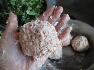【jiangsu】lion Head in Tomato Sauce recipe