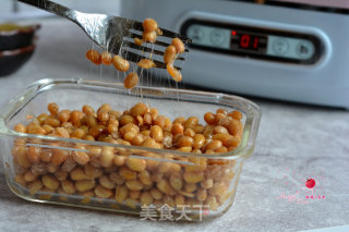 Homemade Natto recipe