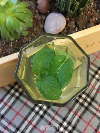 Lemon Mint Water recipe