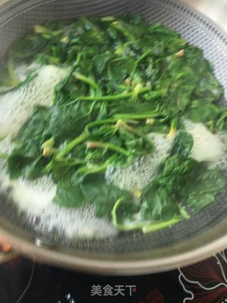 Spinach Mixed with Sea Rainbow recipe
