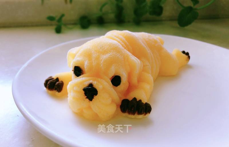 Shar Pei Mango Pudding