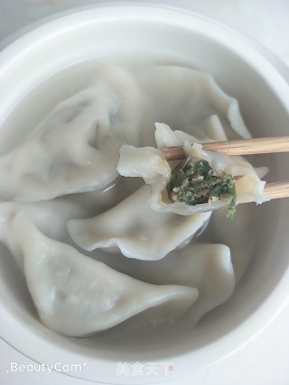 Shepherd's Purse Dumplings recipe