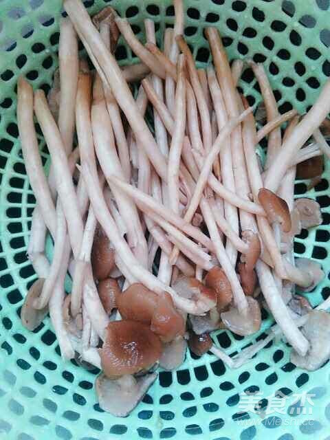 Tea Tree Mushroom Lean Meat Soup recipe