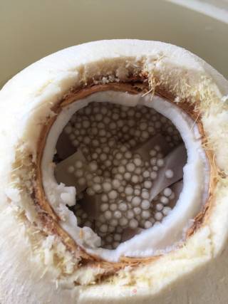 Coconut Sago recipe
