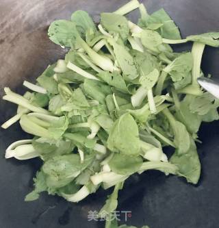 Stir-fried Vegetable Seedlings recipe