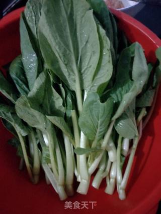 Cantonese Choy Sum in Oil recipe