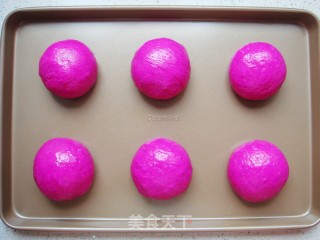 Dragon Fruit Soft European Buns recipe