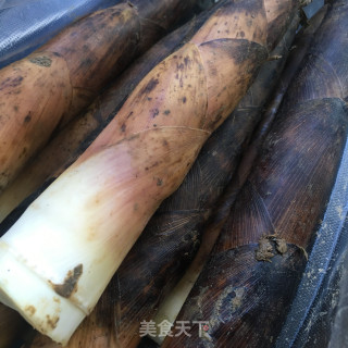 Preserve Fresh Bamboo Shoots recipe