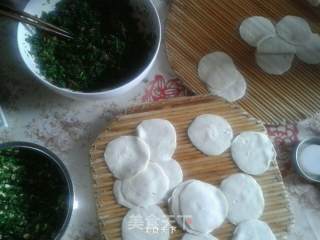 Two Life Paths of Alfalfa Dumplings recipe