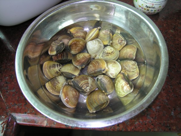 Boiled Clams in Brine with Basil recipe