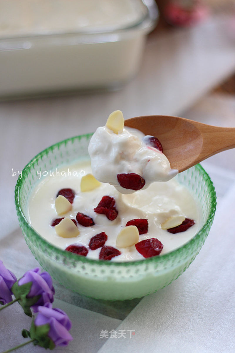 Homemade Greek Yogurt recipe