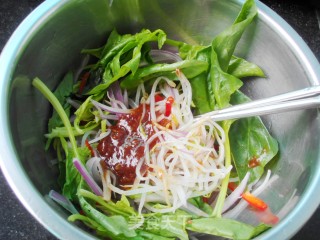 Thai Chicken Spinach Salad recipe