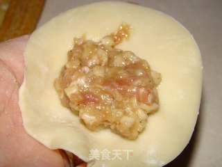 Pleurotus Eryngii Pork Fried Dumplings recipe