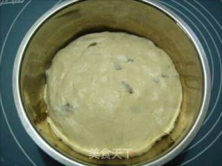 Oatmeal Raisin Buns recipe