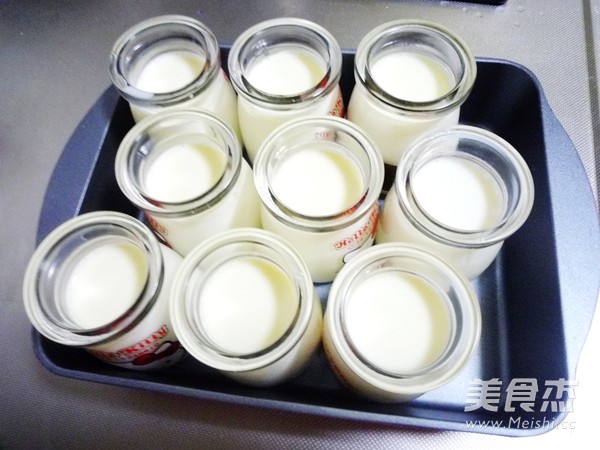 Homemade Yogurt recipe