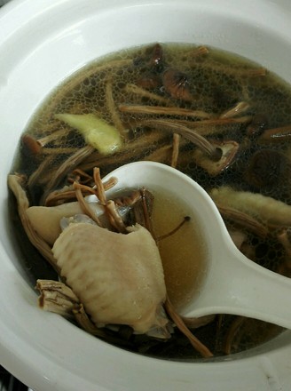 Tea Tree Mushroom Chicken Soup recipe