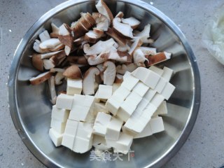Salmon Tofu Soup recipe