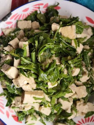 Spring Toon Fresh ~ Toon Mixed with Tofu recipe
