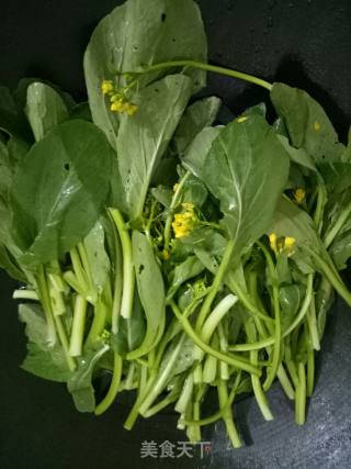 Salad Greens recipe
