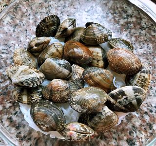 Garlic Microwave Clam Vermicelli #懒人饭# recipe