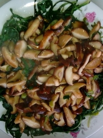 Shao Po Po Ding with Shiitake Mushrooms recipe