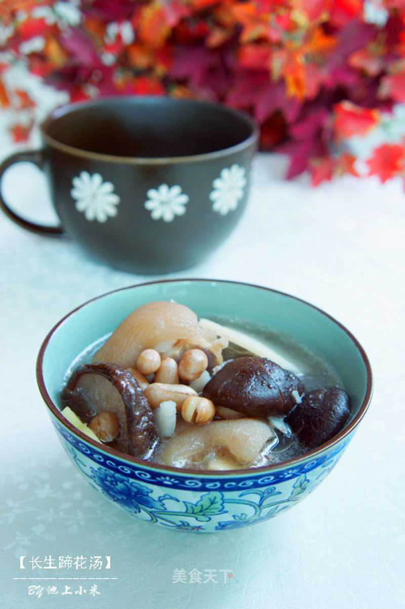 【jangsheng Hoof Flower Soup】