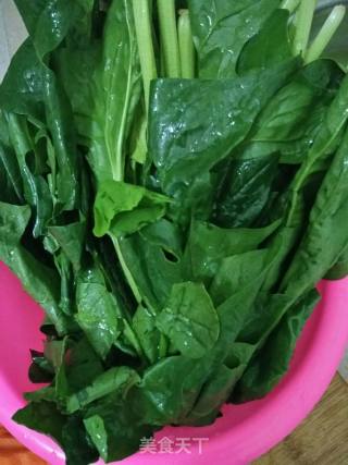 Spinach Tart recipe