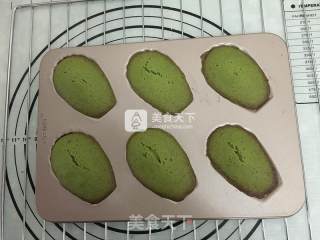 Matcha Madeleine Cake recipe