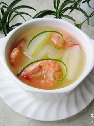 Winter Melon Shrimp Soup