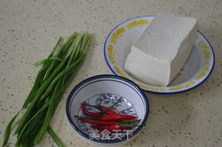 Braised Tofu with Leek recipe