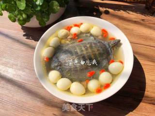 Braised Turtle Soup recipe