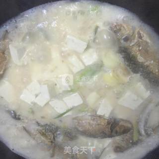 Milky White Crucian Fish Tofu Soup recipe