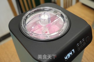 Dragon Fruit Ice Cream recipe