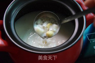 Lotus Seed Milk Sago Syrup recipe