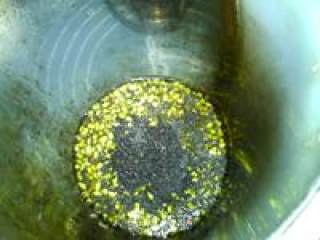 Mung Bean Honey Mo Drink recipe