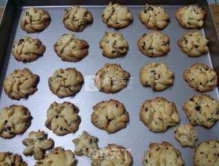 #aca烤明星大赛#cranberry Cookies recipe